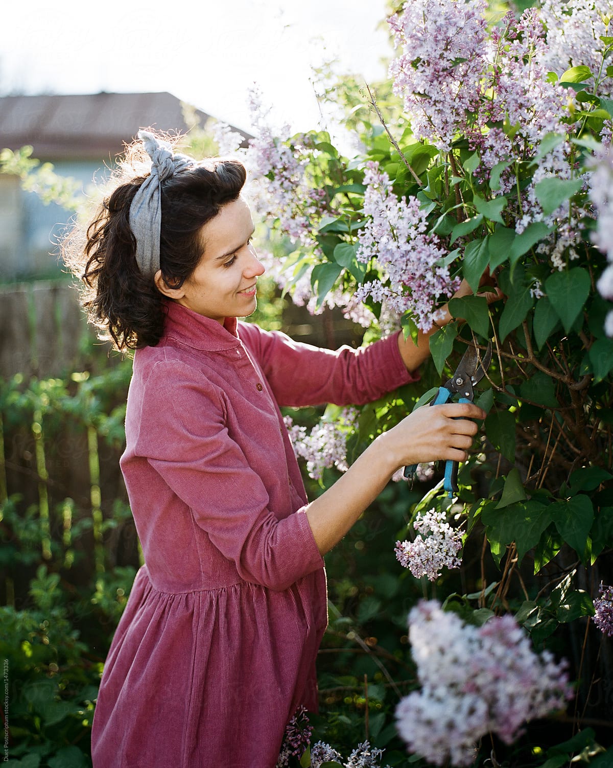 Woman cutting flowers for bunch
