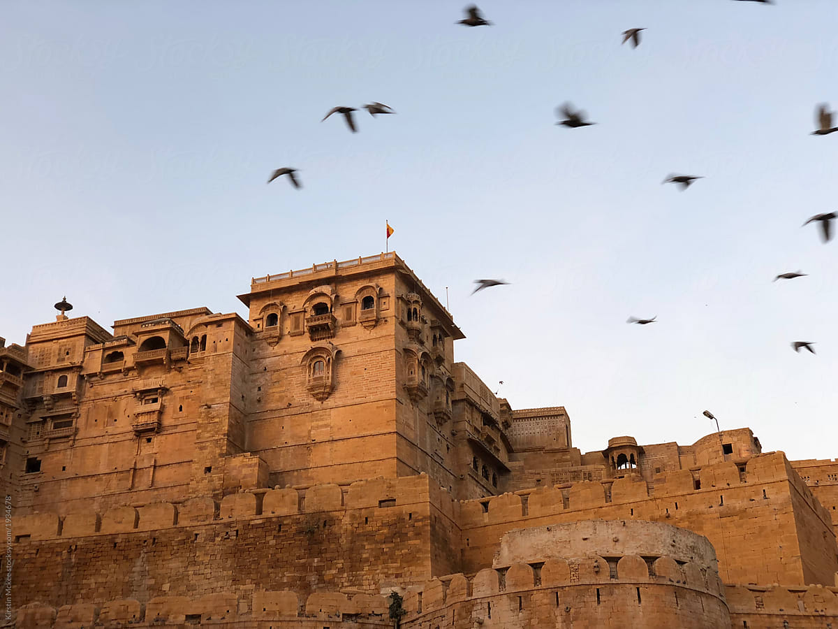 Birds flying over fort at Jaisalmer