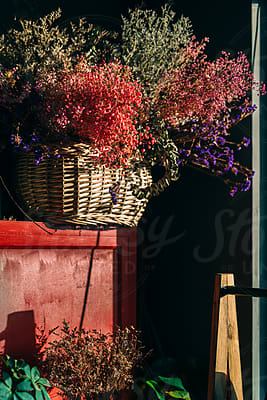 Florist Working In Her Flower Shop. by Stocksy Contributor Mosuno -  Stocksy