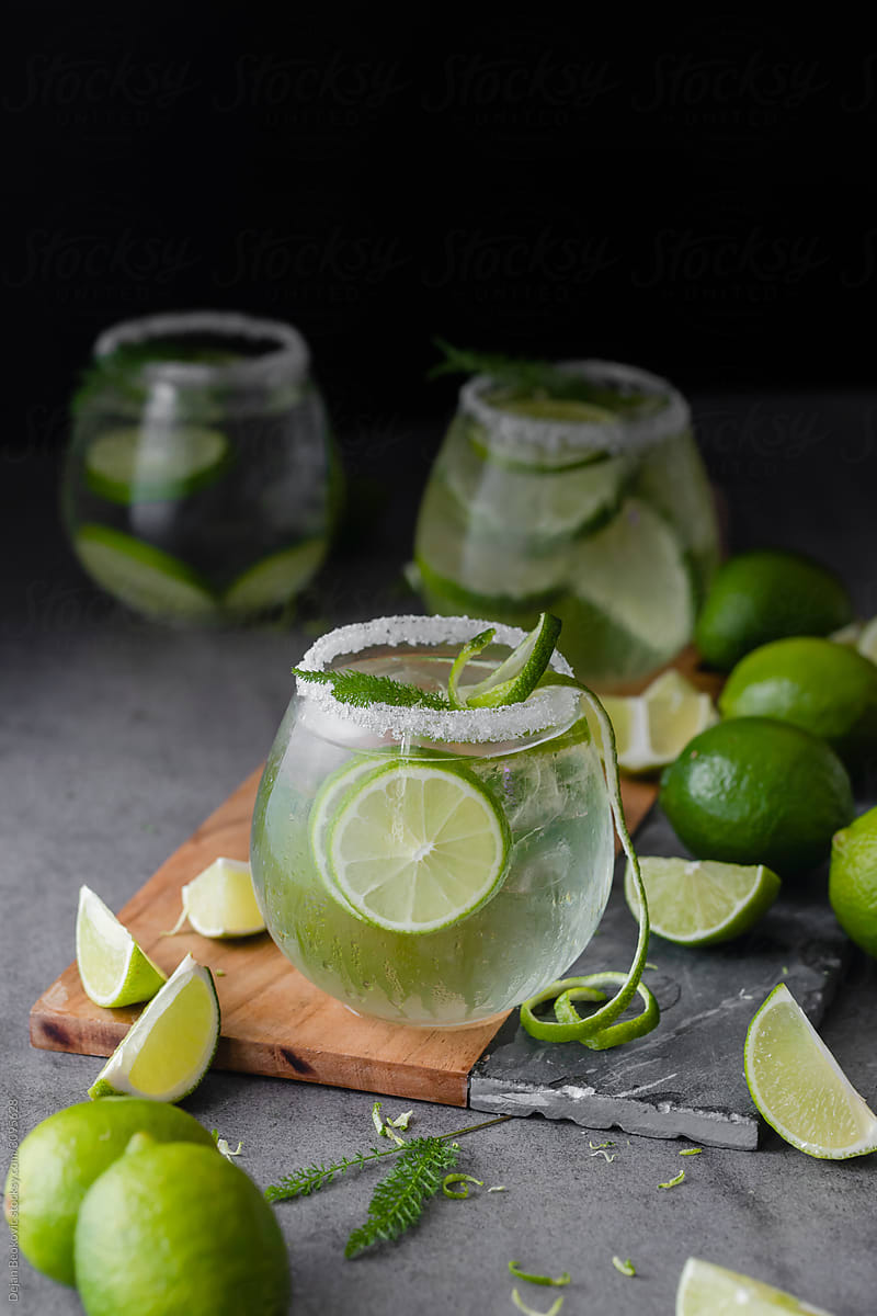Perfect Summer Fresh Drink Gin Tonic With Lime.