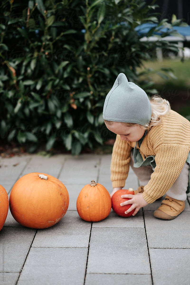 Little girl playing with line of fresh pumpkins arranged by size