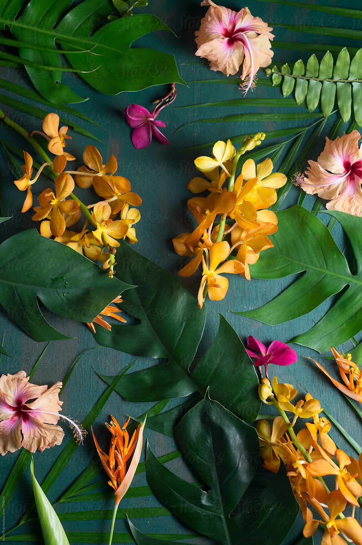 Tropical flowers on green