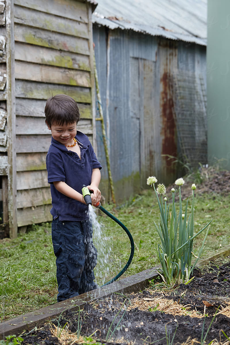 Cute little boy helping with garden watering