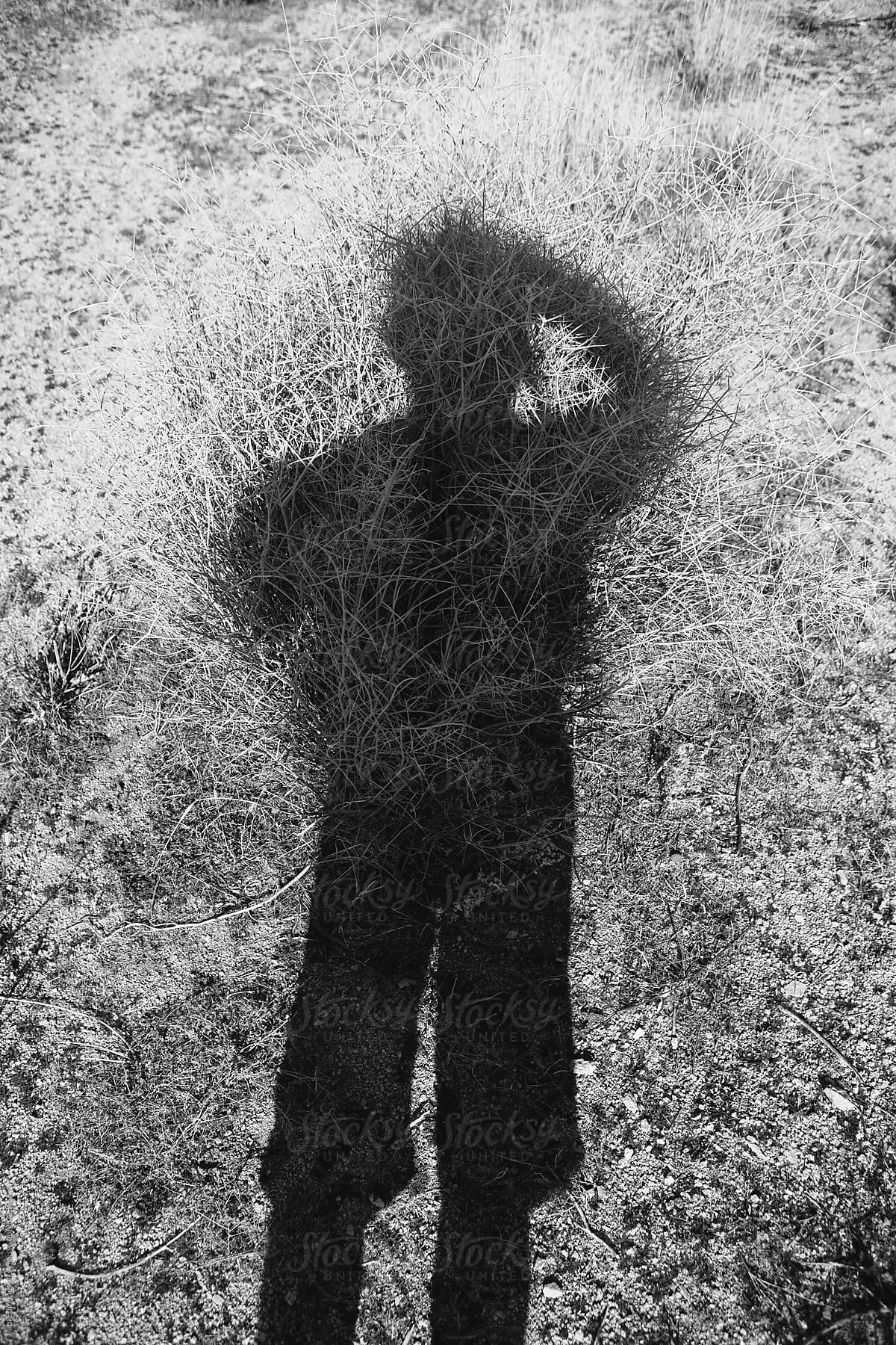 Shadow of photographer taking self portrait