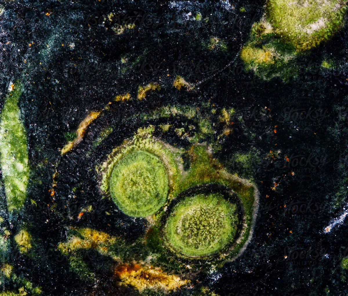 black-green jade material detail texture