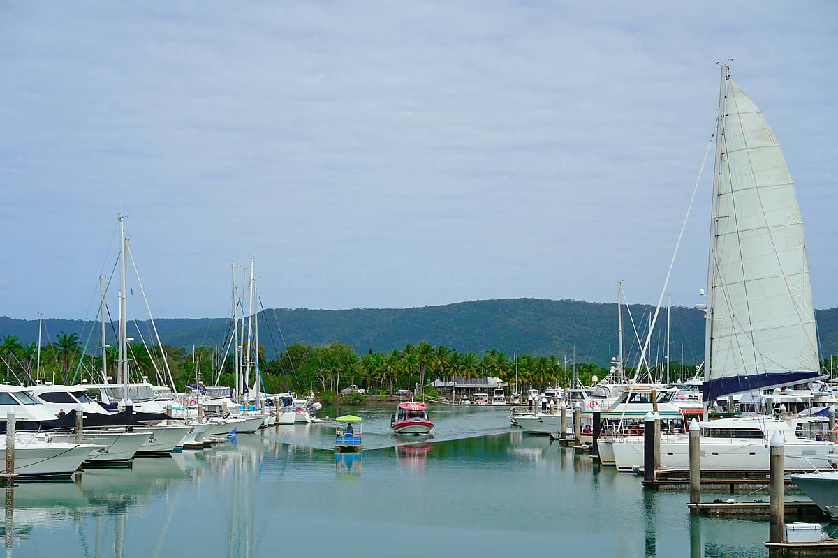 Tour boats at Port Douglas Marina