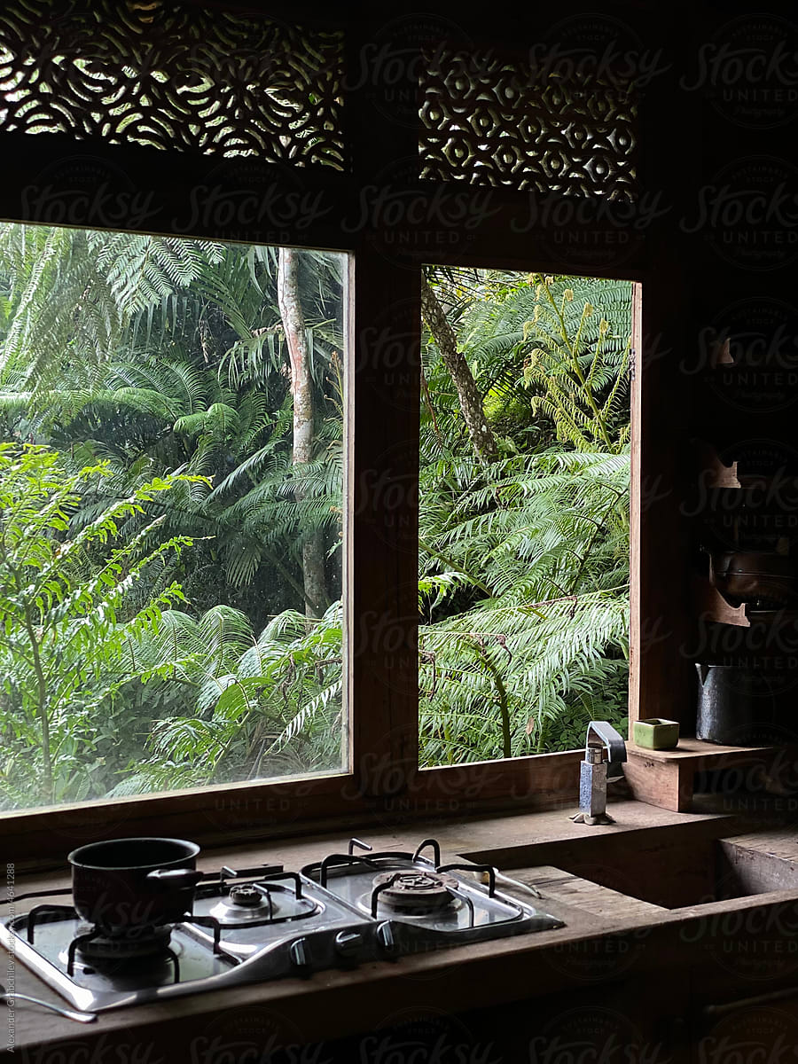 A View Of A Forest Through A Window In A Wooden House
