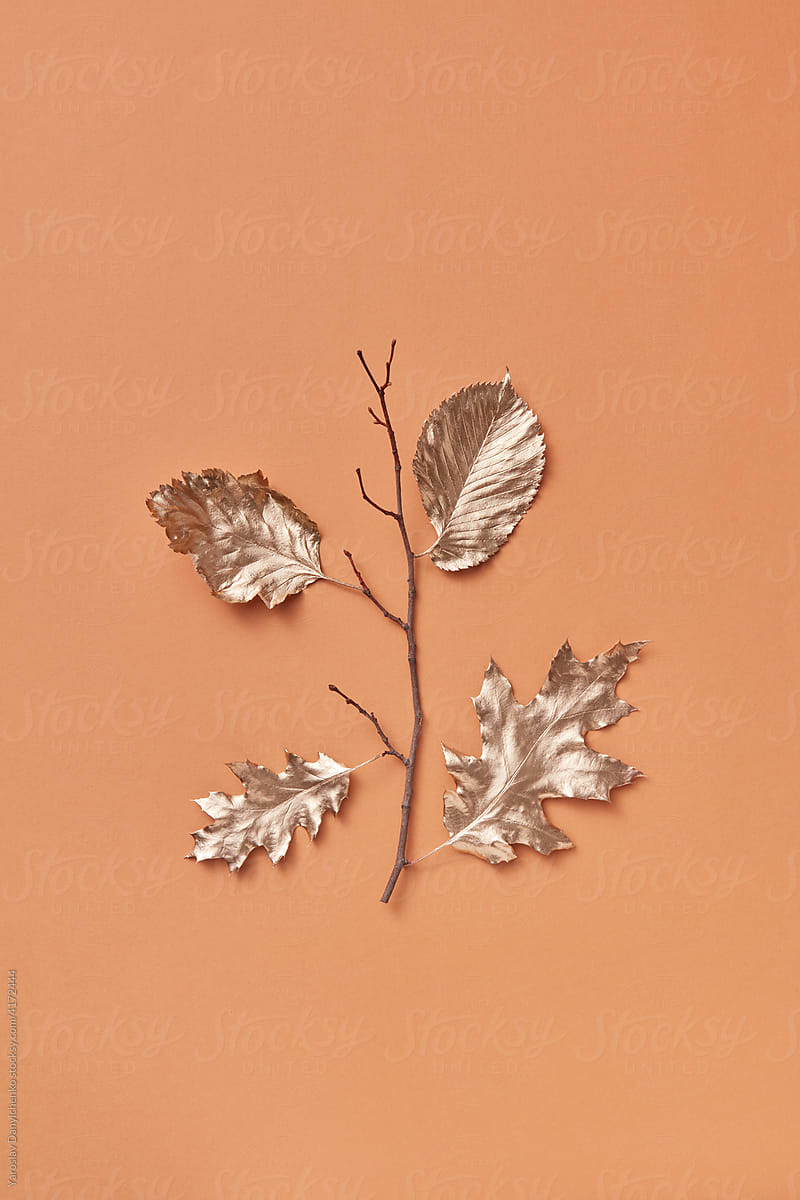 Twig and painted leaves on background