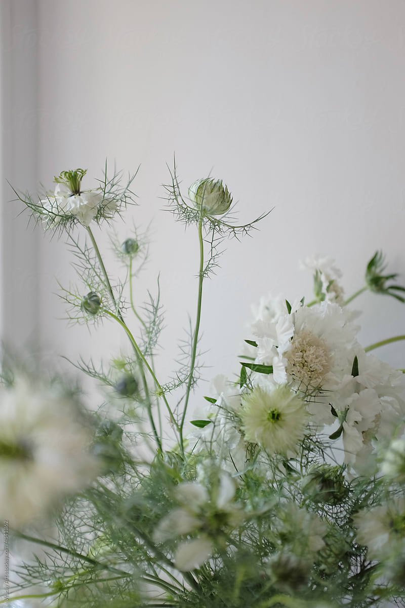 Gentle white flowers