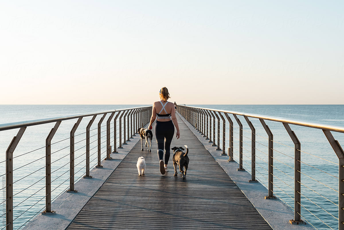 Dogs following female owner on pier