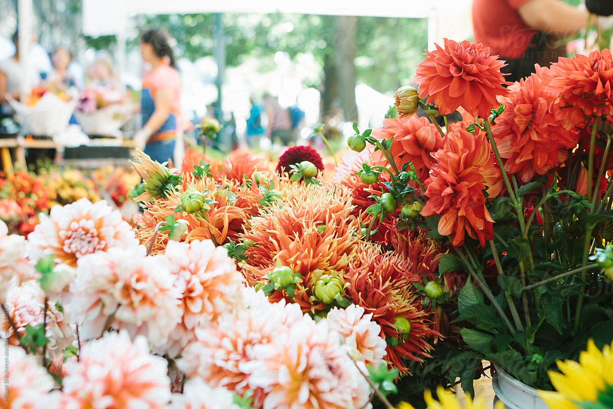 Fresh flowers for sale at a farmers market with people in the background selling them