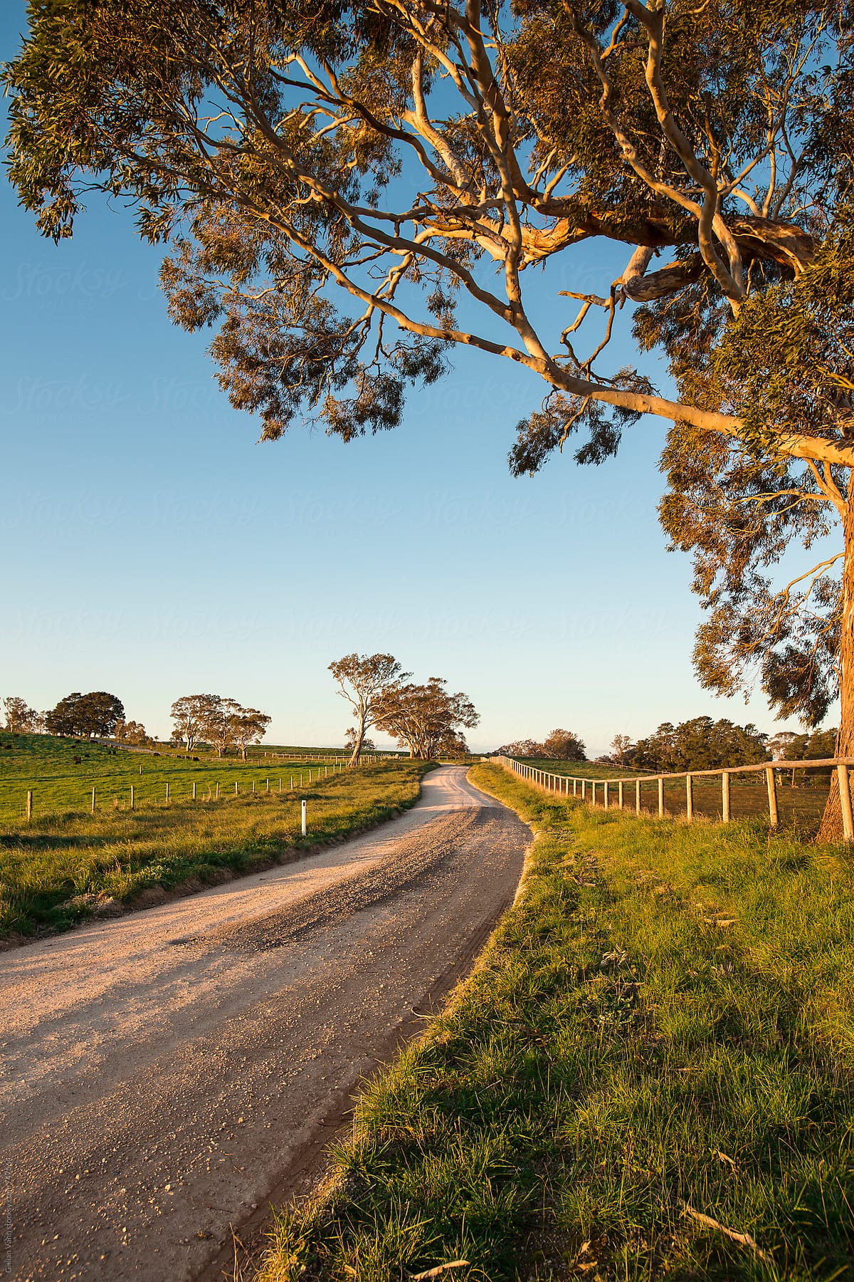 country road in south australia, late afternoon