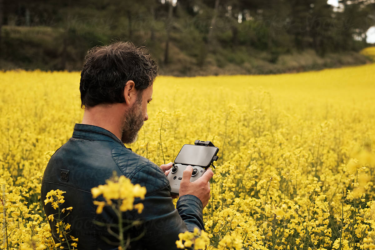 Man flying drone with remote control in a yellow flower field