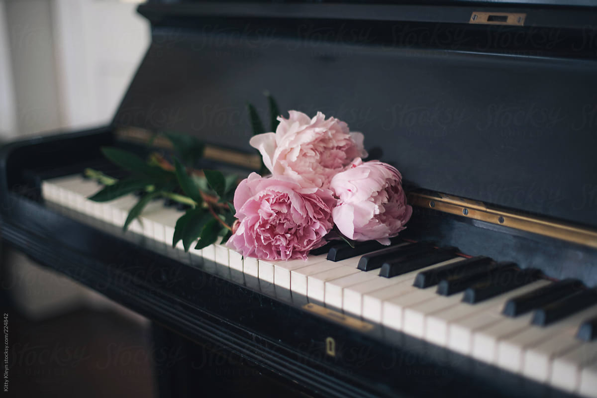 Букет цветов на рояле