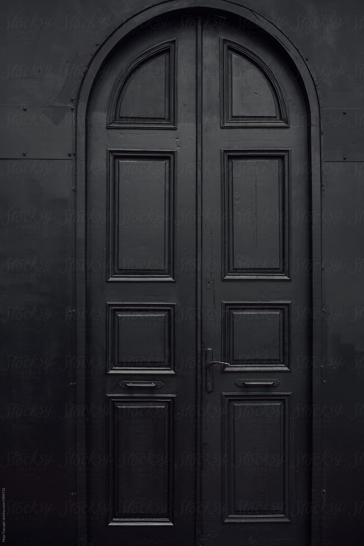 Beautiful big black door