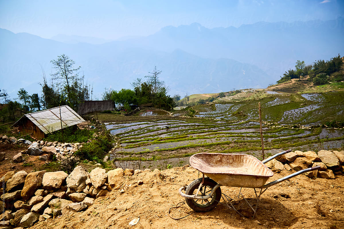 North Vietnam rice paddy terrace smallholding, rest break in heat