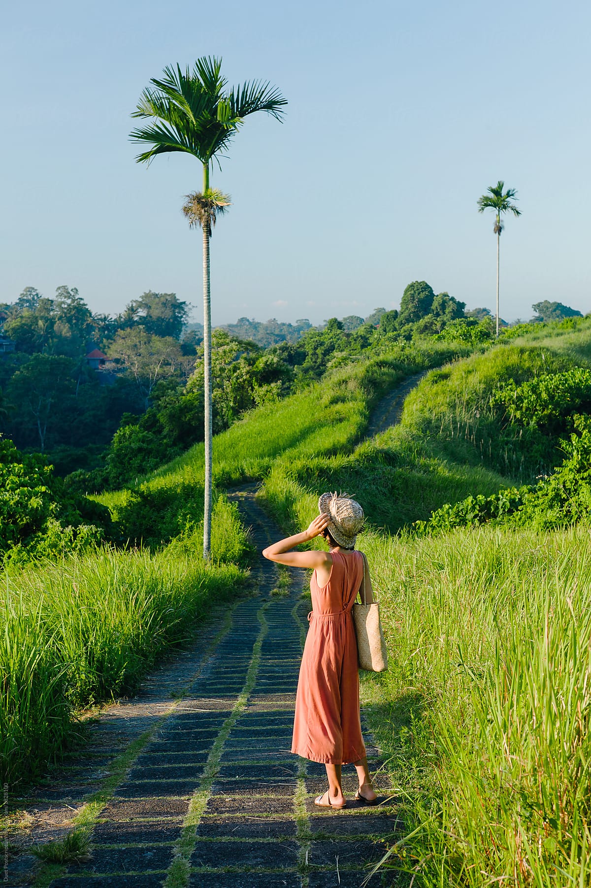 Gir walking on pathway in tropics