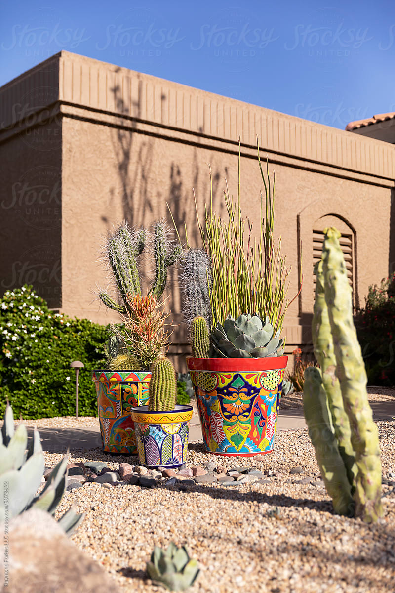 Arizona garden with colorful clay pots cactus succulent