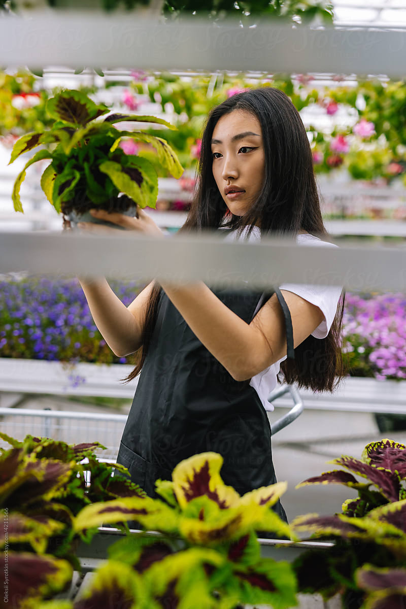 Girl controlling quality of flower seedling in pots