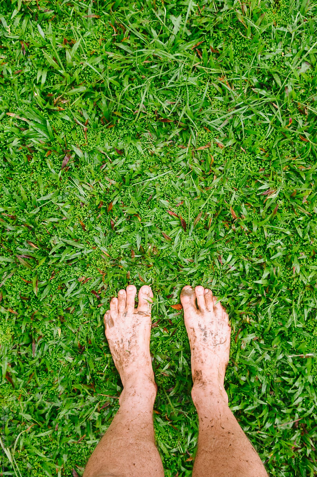 Feet and wet grass, Samoa.