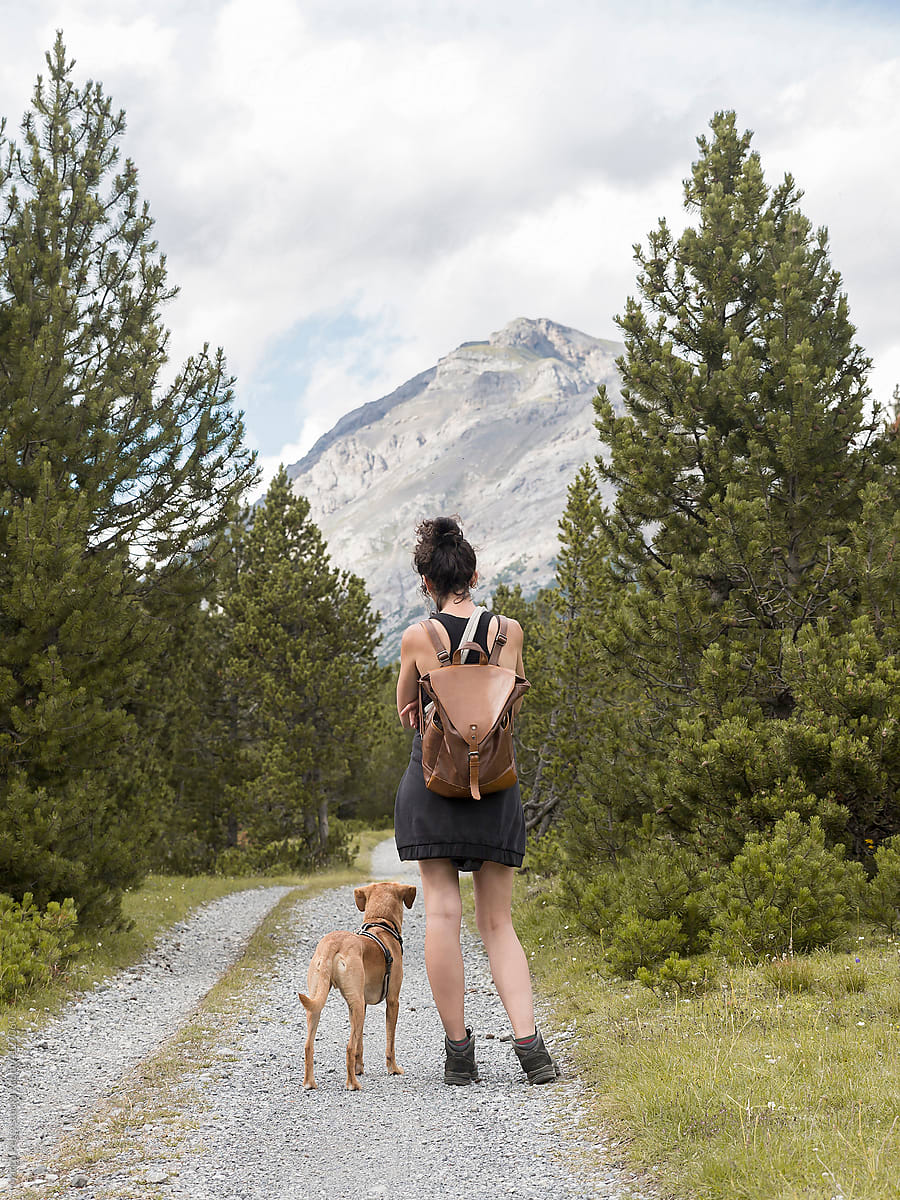 trekker girl with dog on alp mountain