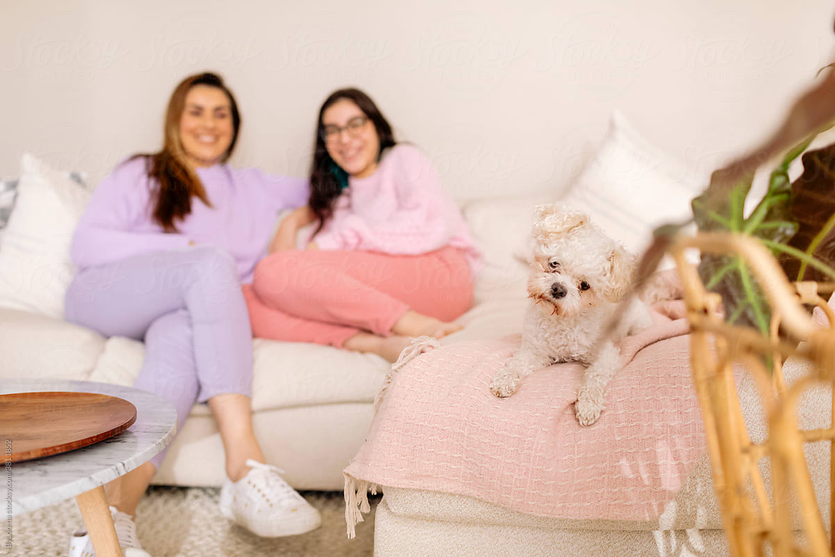 Dog, woman, and girl at sofa