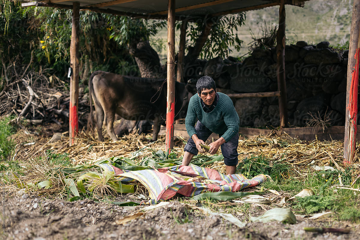 Peruvian man working on a farm
