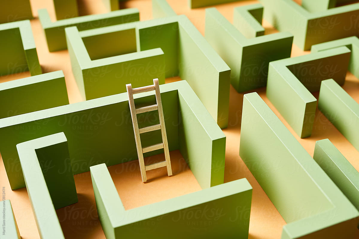 Ladder amidst green maze walls