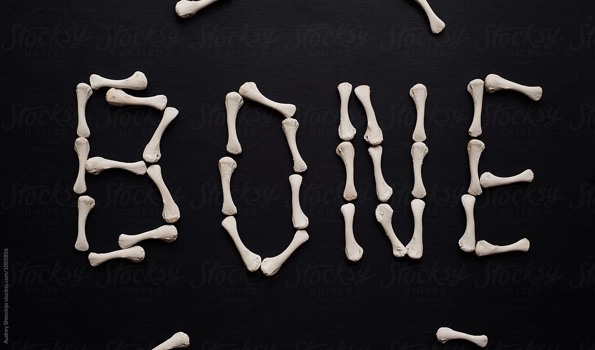 word bone made from bones.