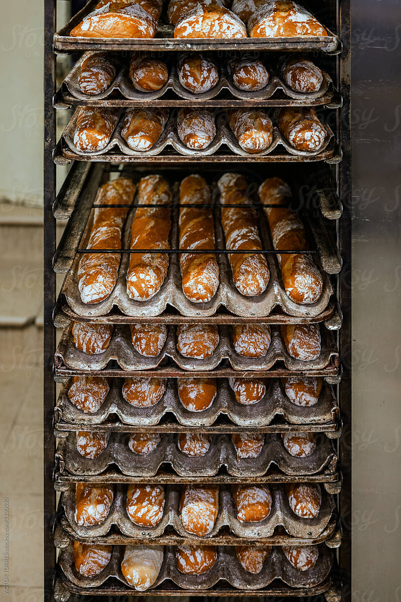 Shelves with fresh baguettes in bakery