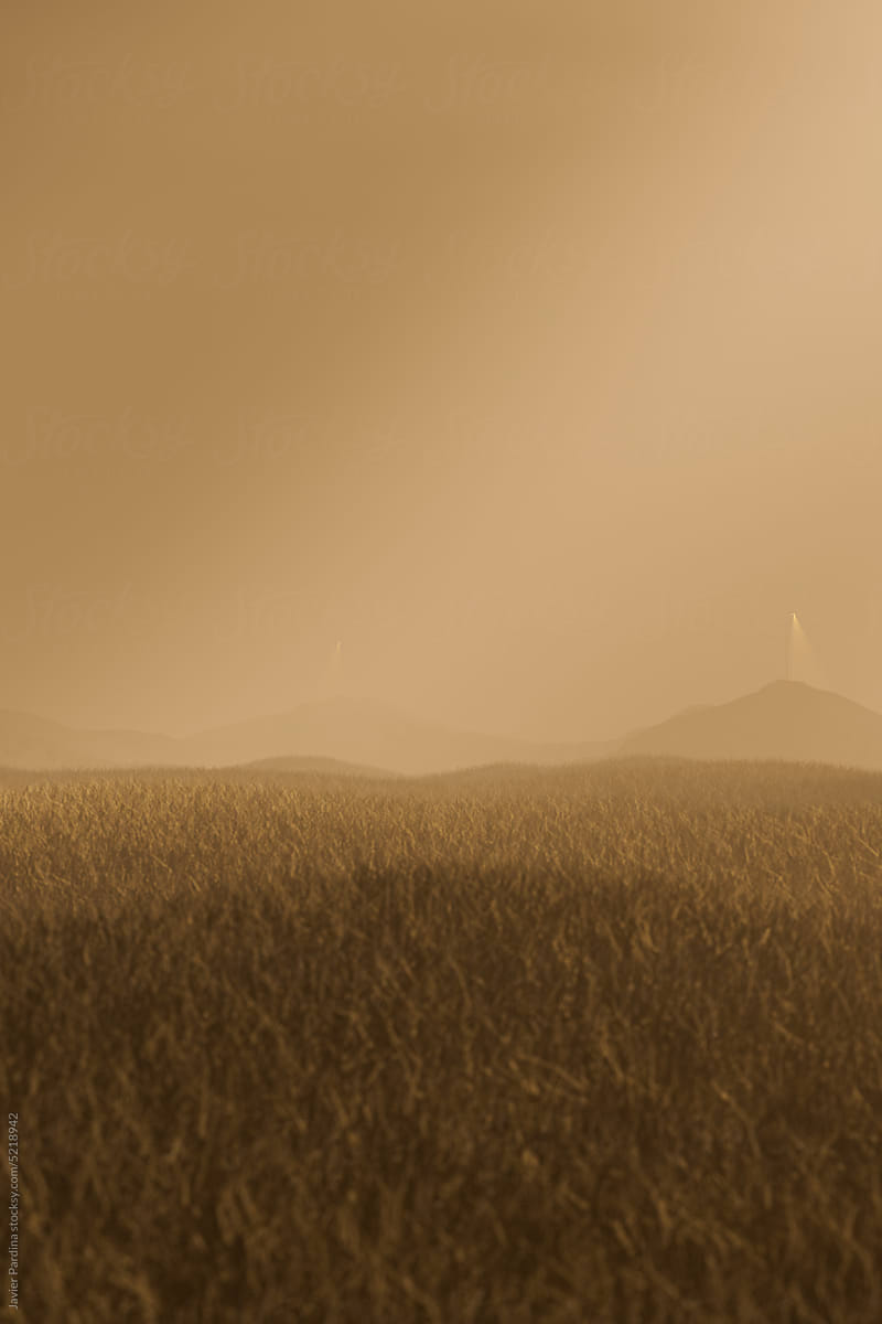 Minimal landscape with fog