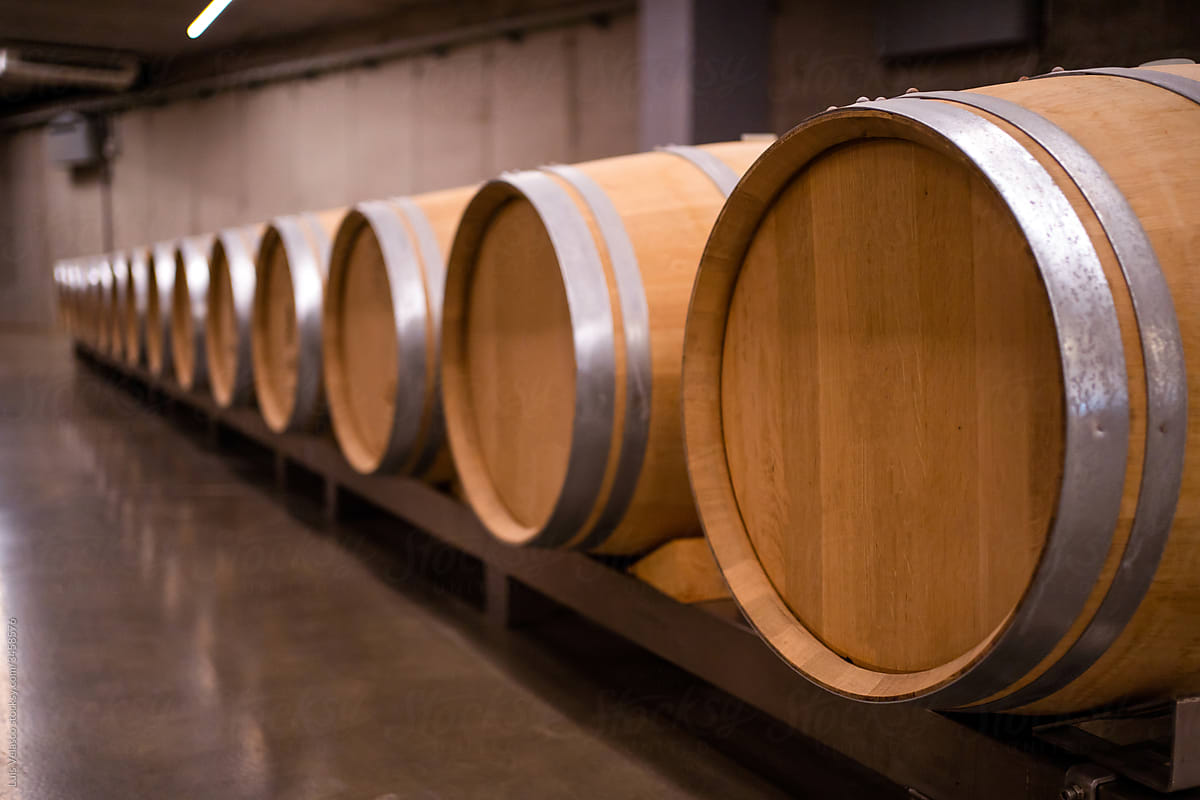 Wooden Barrels In A Modern Wine Cellar.