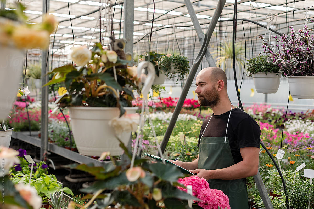 White florist works inside orangery