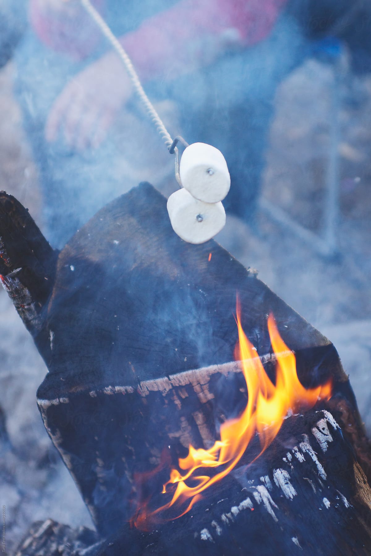 Marshmallows roasting over a campfire