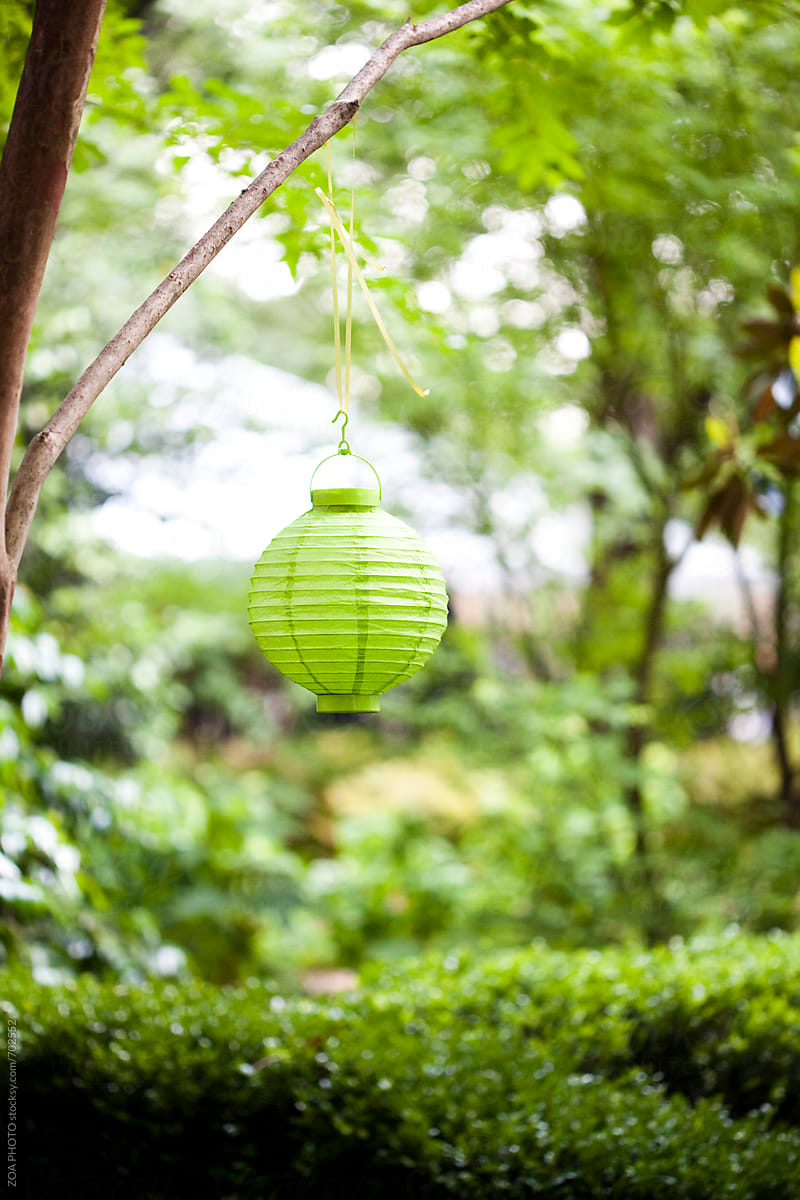 Green Lantern Hanging in Garden