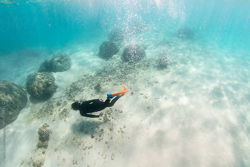 Child in a wet suit and snorkel set free dives amongst the coral on the Ningaloo Coast in Western Australia