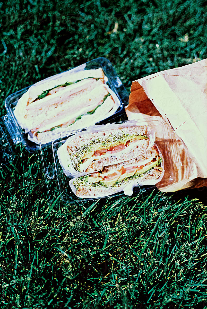 a pair of pepared sandwiches at the park, 35mm