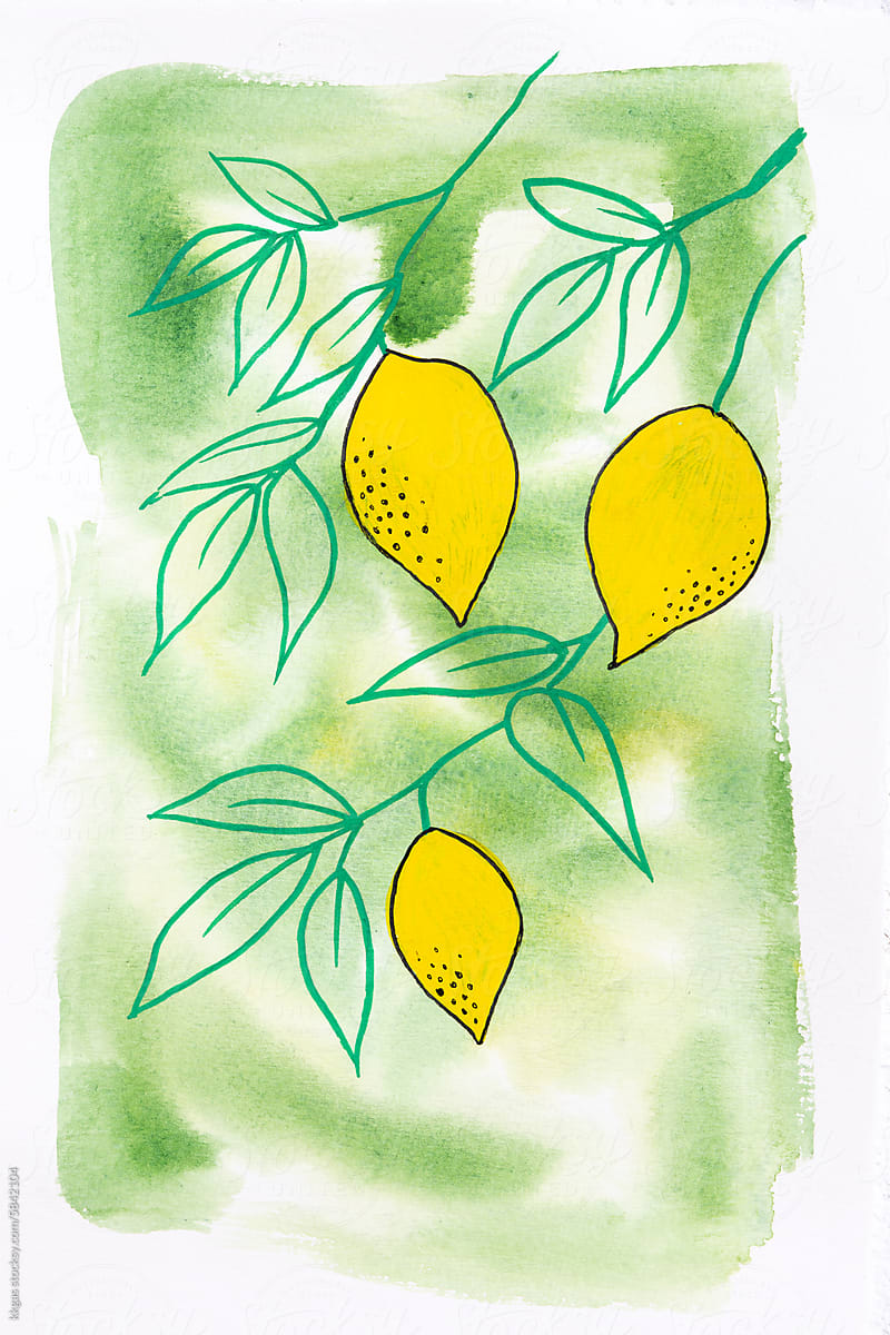 Illustration of lemon fruits and leaves
