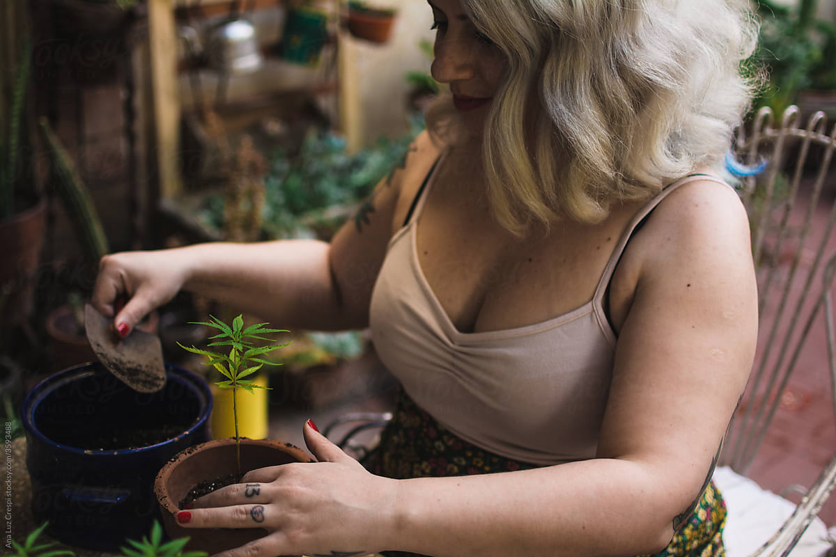 Gardening cannabis plants