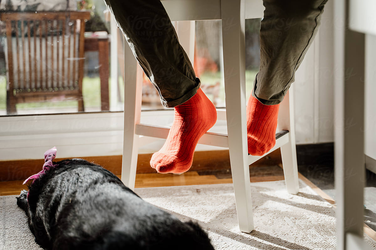 Man sitting on chair at home with dog on feet candid moment