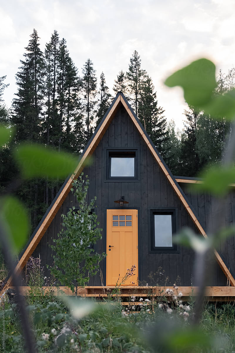 A frame cabin near coniferous trees