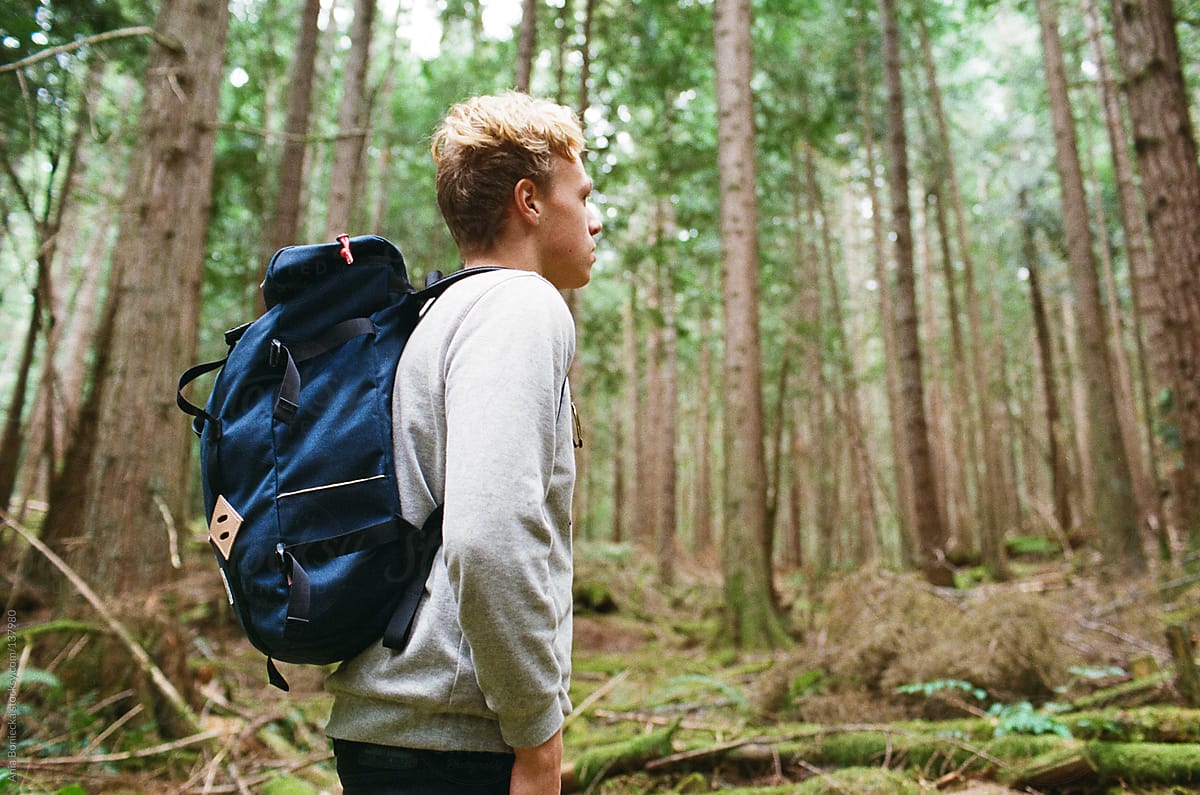 A young man hikin in a forest