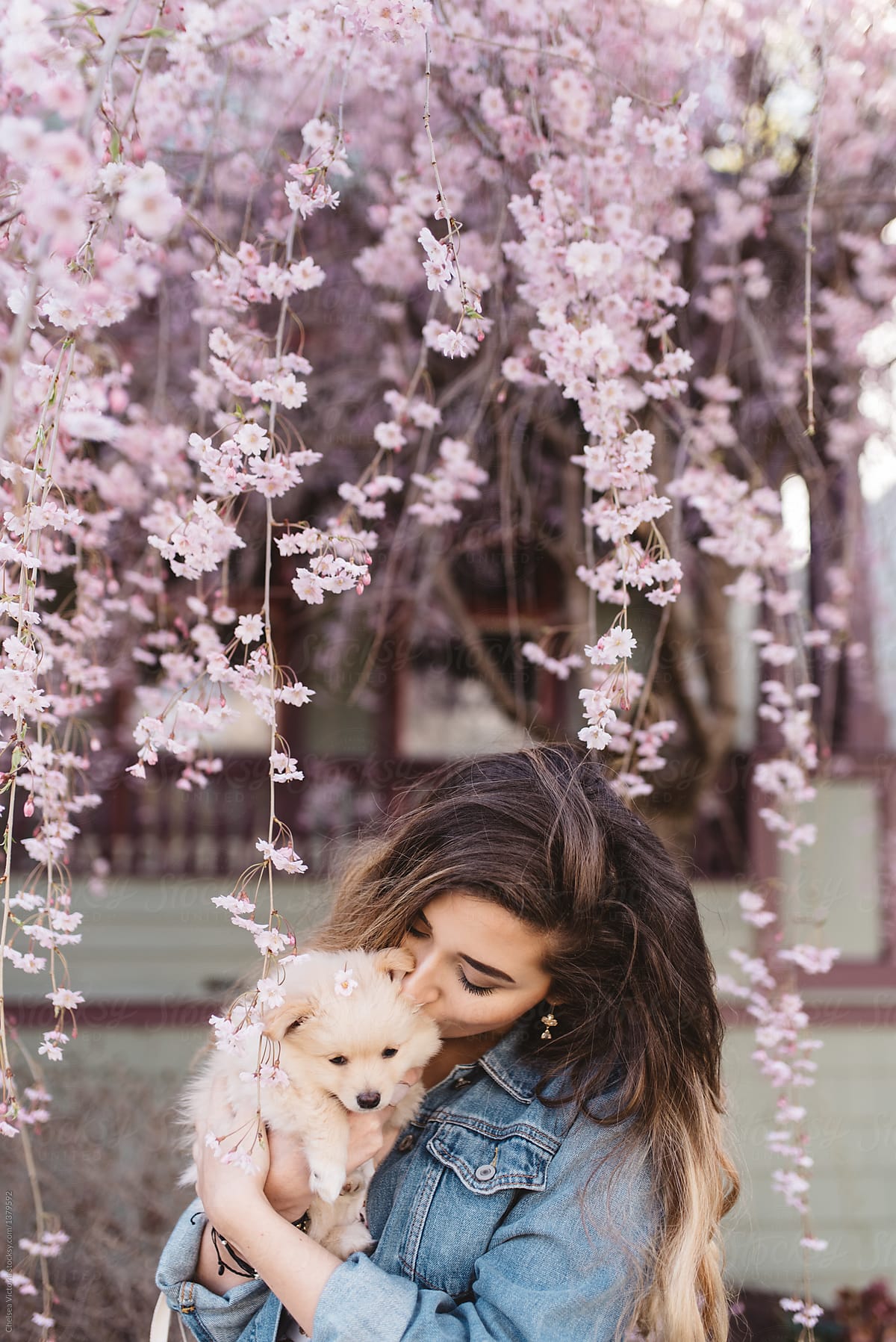 A young woman holding her puppy under a cherry blossom tree