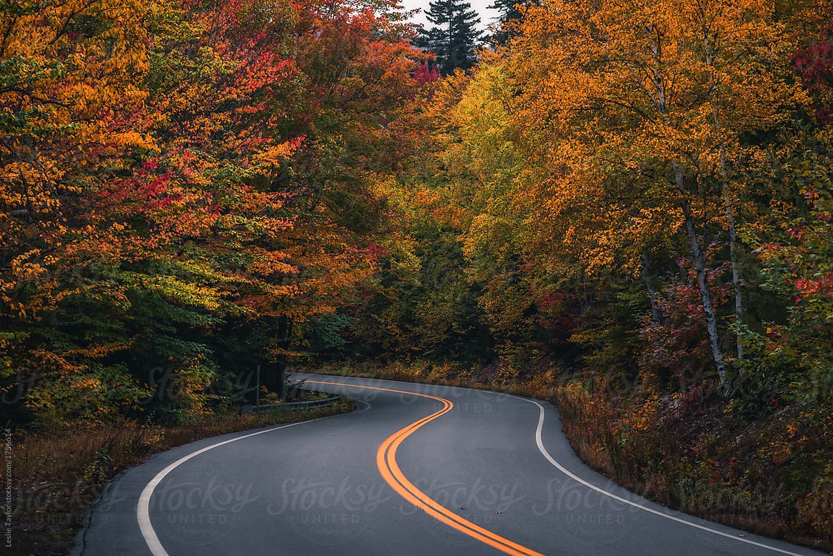 Autumn Country Road In The White Mountains