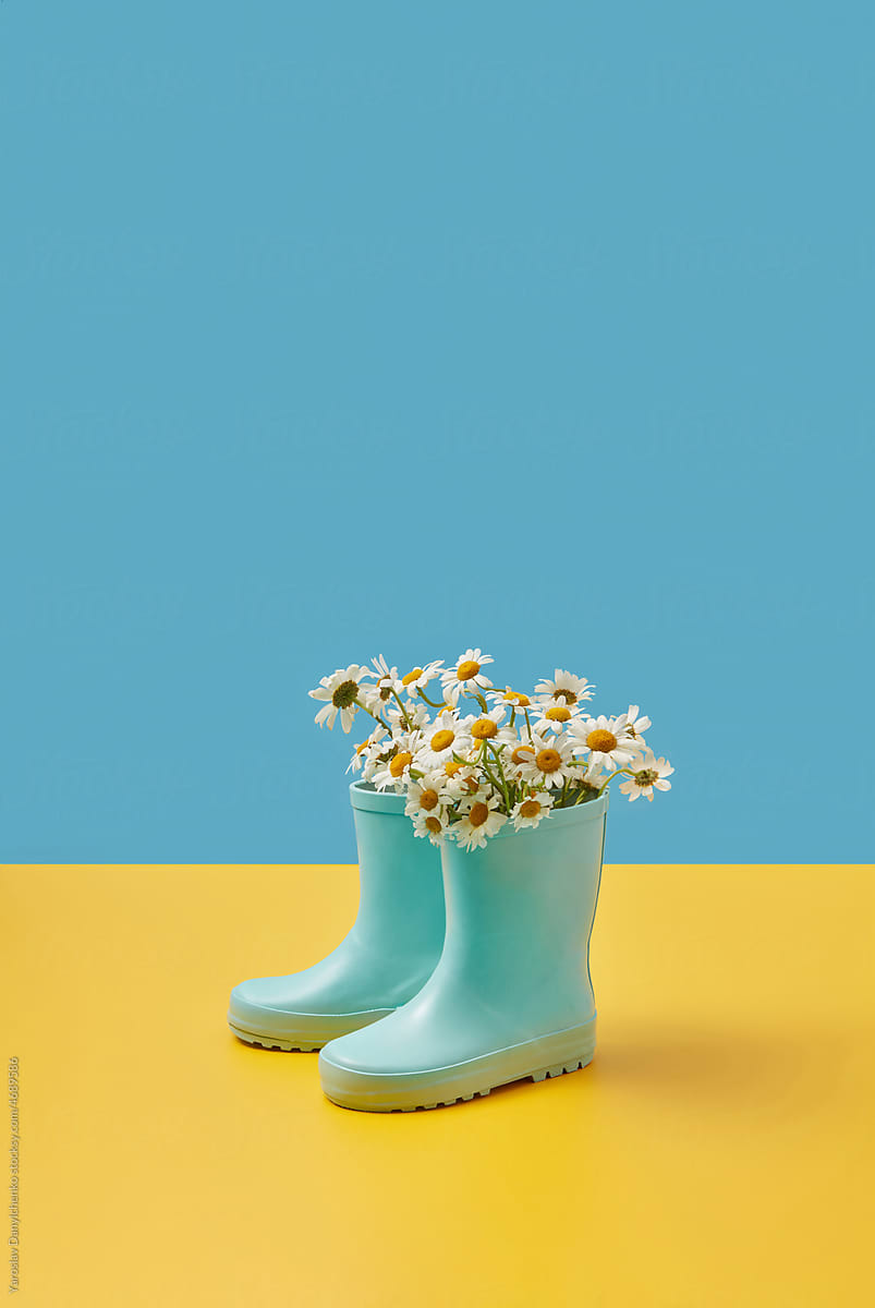 Flowers in rubber boots