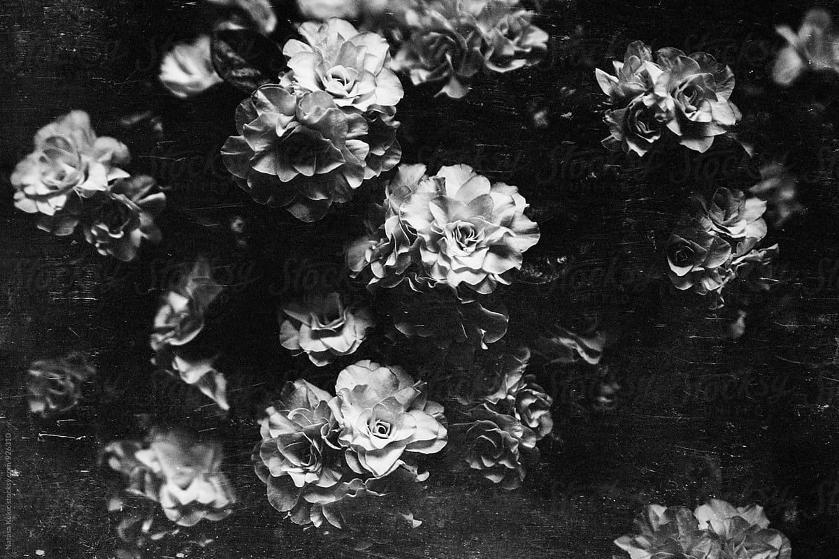 Vintage flowery backgrounds,black and white