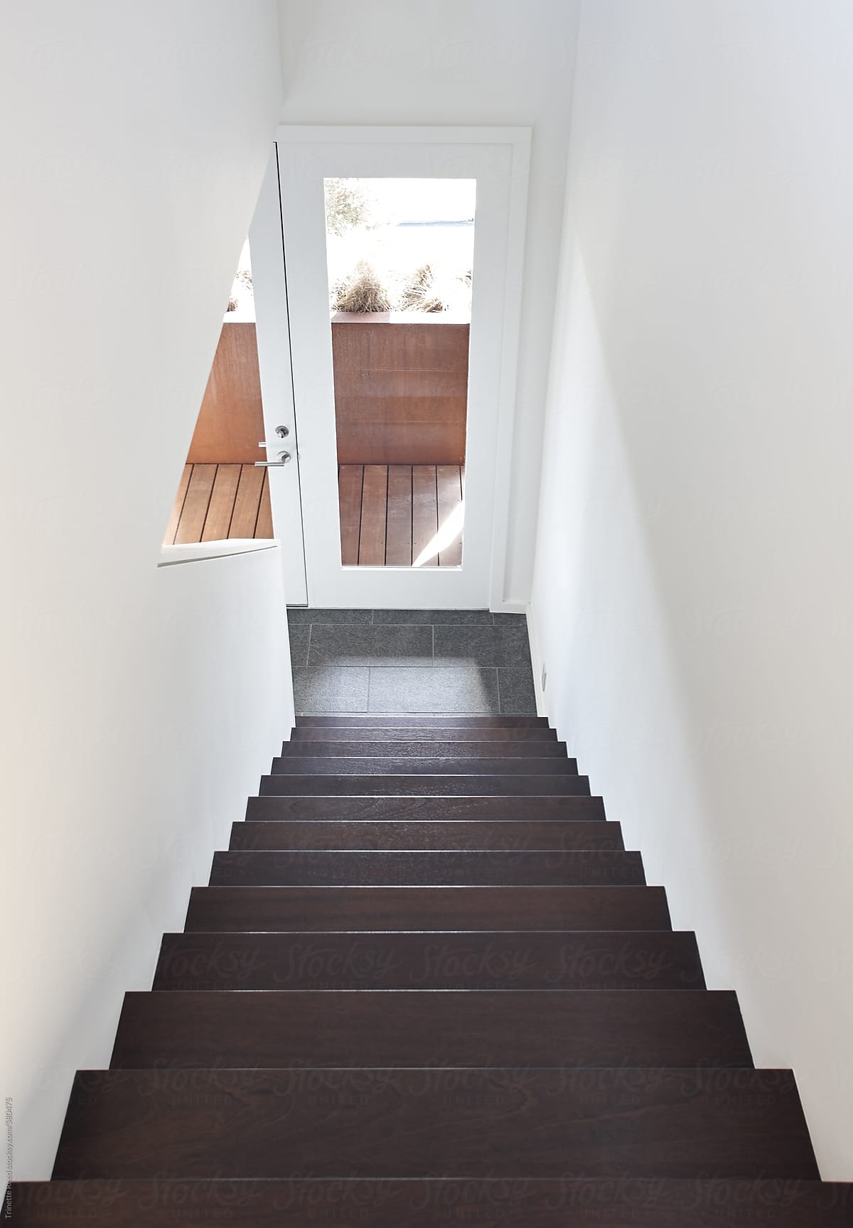 Dark Wood Stairs in modern design home