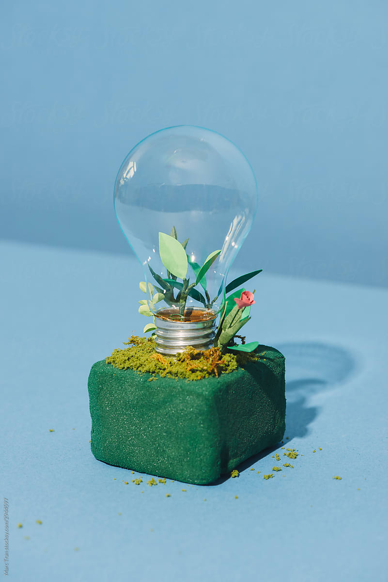 green energy concept, lightbulb with plant growing