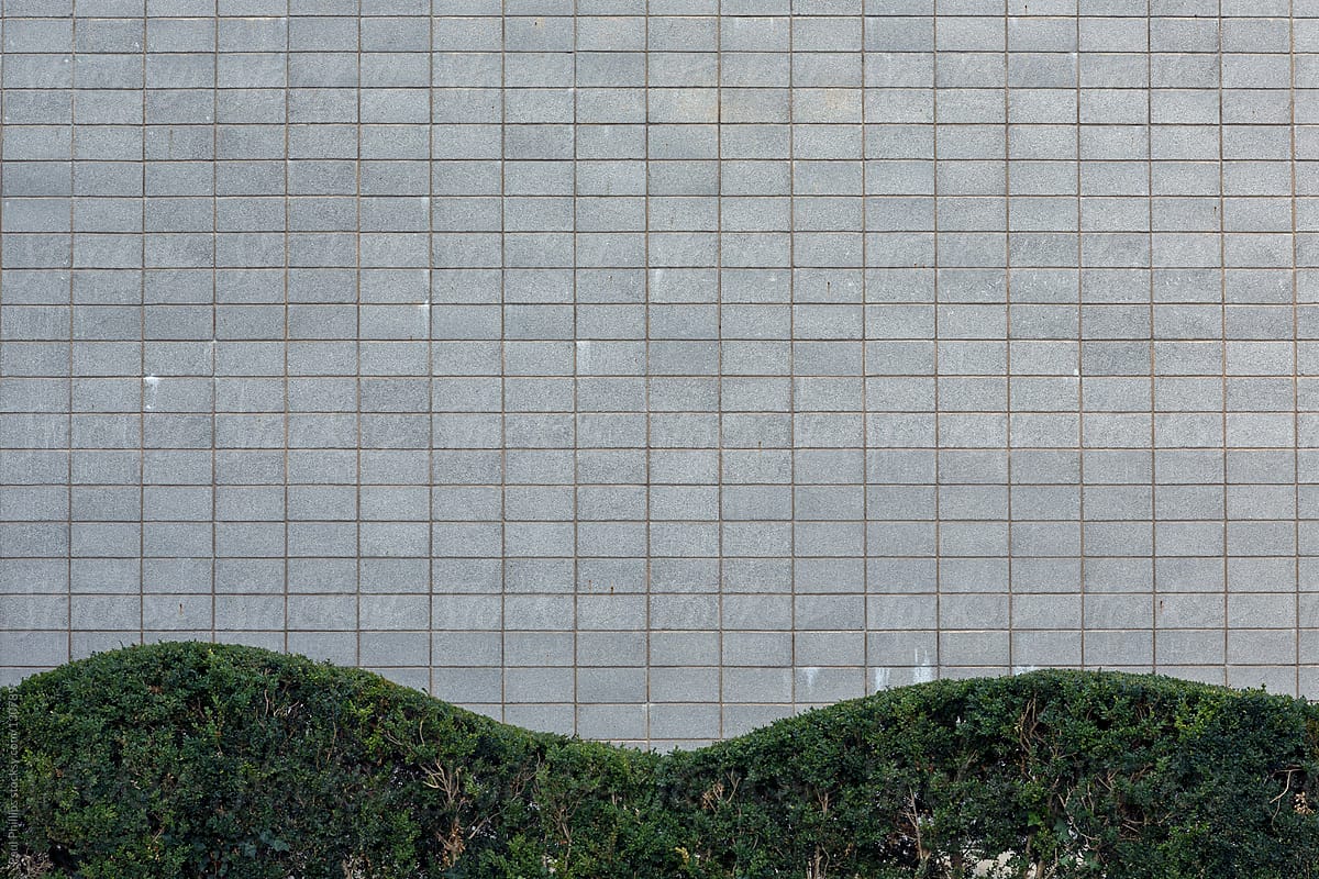 Undulating hedge and uniform blocks of a commercial building