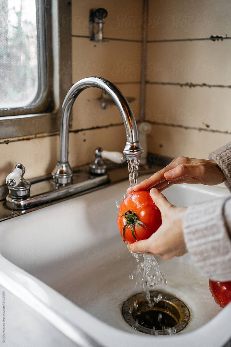 Anonymous woman washing tomatoes